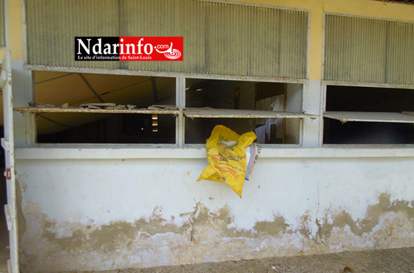 Saint-Louis : l’école de Marième Faye SALL crie au secours Saint-Louis : l’école de Marième Faye SALL crie au secours