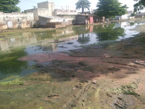 Les talibés de Serigne Modou Kara à l'assaut des zones inondées de Touba Les talibés de Serigne Modou Kara à l'assaut des zones inondées de Touba
