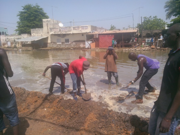 Les talibés de Serigne Modou Kara à l'assaut des zones inondées de Touba Les talibés de Serigne Modou Kara à l'assaut des zones inondées de Touba