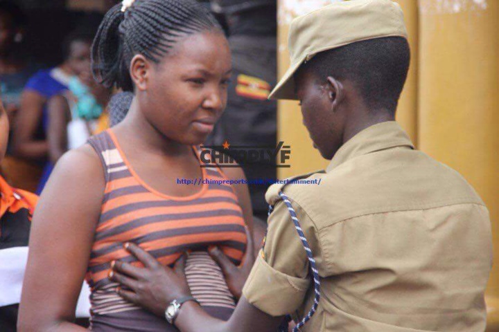 Photos : Terrorisme oblige, il faut fouiller partout Photos : Terrorisme oblige, il faut fouiller partout