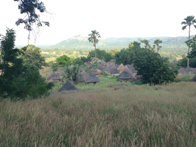 Pays bassari
