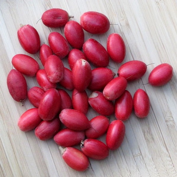 Connaissez vous le fruit miraculeux et son pouvoir extraordinaire Connaissez vous le fruit miraculeux et son pouvoir extraordinaire