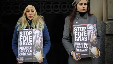 Ce 25 novembre, 3 journées mondiales: journée Internationale pour l'élimination de la violence à l'égard des femmes, la journée mondiale anti-foie gras et la journée mondiale du jeu vidéo Ce 25 novembre, 3 journées mondiales: journée Internationale pour l'élimination de la violence à l'égard des femmes, la journée mondiale anti-foie gras et la journée mondiale du jeu vidéo