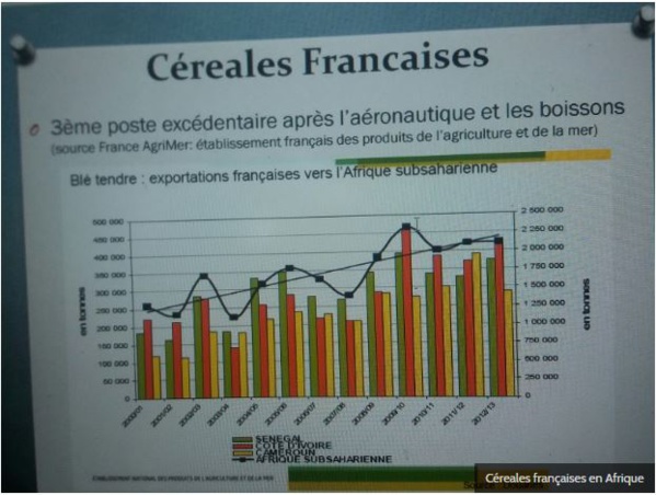 Le Front Anti CFA passe la seconde, boycott et alternatives aux produits français en Afrique Le Front Anti CFA passe la seconde, boycott et alternatives aux produits français en Afrique
