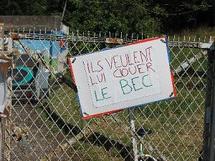 Insolite: une manifestation pour défendre... un coq ! Insolite: une manifestation pour défendre... un coq !