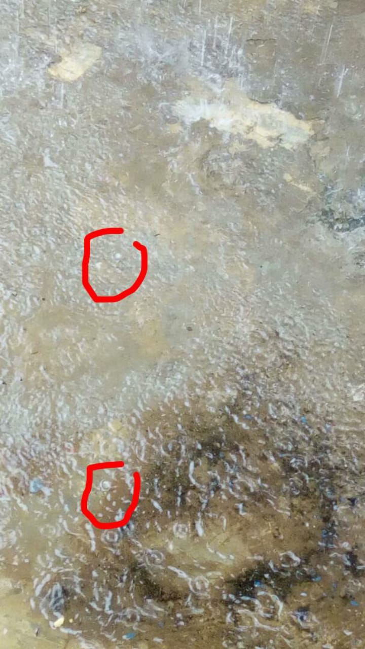 (Vidéo & Photo): Une forte pluie de glace à Thiès, Regardez! (Vidéo & Photo): Une forte pluie de glace à Thiès, Regardez!