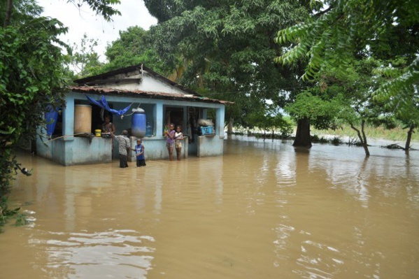 VIDEO - Inondations : Bignona sous les eaux, une vingtaine de familles sinistrées VIDEO - Inondations : Bignona sous les eaux, une vingtaine de familles sinistrées