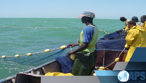 Pêche- Préservation de la ressource: Le Directeur des Pêches maritimes détaille les nouvelles mesures Pêche- Préservation de la ressource: Le Directeur des Pêches maritimes détaille les nouvelles mesures