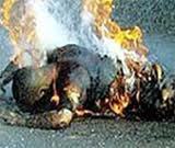 Yeumbeul : Ne pouvant plus supporter la rupture avec sa copine, il s’immole par le feu Yeumbeul : Ne pouvant plus supporter la rupture avec sa copine, il s’immole par le feu
