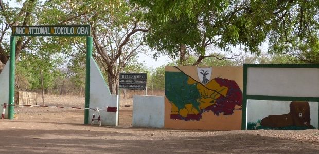 Exploitation illégale de l’or au Parc Niokolo Koba : le maire de Tomborokoto entendu par la gendarmerie Exploitation illégale de l’or au Parc Niokolo Koba : le maire de Tomborokoto entendu par la gendarmerie