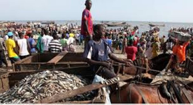 Insécurité en mer: Les pêcheurs de Mbour et ceux de Fass Boye soldent leurs comptes Insécurité en mer: Les pêcheurs de Mbour et ceux de Fass Boye soldent leurs comptes