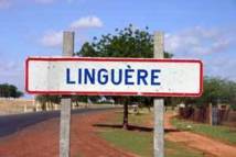 Linguère: Mélakh, un véritable sanctuaire de la religion musulmane vient de célébrer son Magal annuel. Linguère: Mélakh, un véritable sanctuaire de la religion musulmane vient de célébrer son Magal annuel.