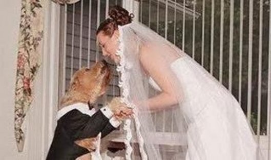 GHANA: UNE FEMME ÉPOUSE UN CHIEN! GHANA: UNE FEMME ÉPOUSE UN CHIEN!
