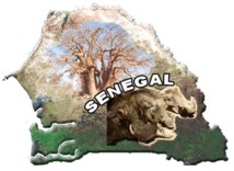 LE SENEGAL, UN PAYS PAUVRE ? LE SENEGAL, UN PAYS PAUVRE ?