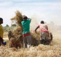 3 milliards pour nourrir 314 000 personnes 3 milliards pour nourrir 314 000 personnes