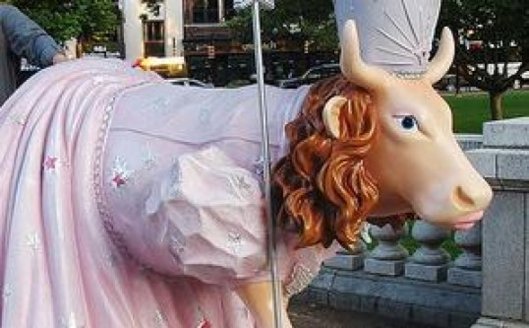 Un Jeune homme se marie avec la vache qu'il a violée! Un Jeune homme se marie avec la vache qu'il a violée!