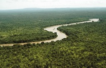 Disparition Des 5 Enfants Dans Le Parc De Niokolo Koba : L’Etat Abandonne Les Recherches Disparition Des 5 Enfants Dans Le Parc De Niokolo Koba : L’Etat Abandonne Les Recherches