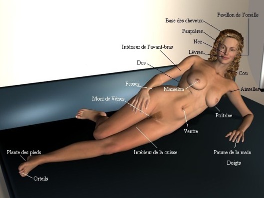 Les zones érogènes