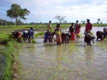 L’Etat travaille au désenclavement définitif de la Casamance, selon Mor Ngom L’Etat travaille au désenclavement définitif de la Casamance, selon Mor Ngom