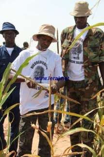 Khelcom 2012: Travail vite fait et bien fait Khelcom 2012: Travail vite fait et bien fait