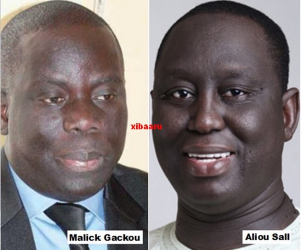Guédiawaye : Aliou Sall élu maire, la bulle Gackou se dégonfle Guédiawaye : Aliou Sall élu maire, la bulle Gackou se dégonfle