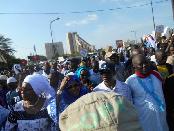 Marche de l'opposition interdite : Le PDS compte défier l’autorité aujourd’hui Marche de l'opposition interdite : Le PDS compte défier l’autorité aujourd’hui