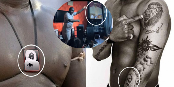 contribution contribution