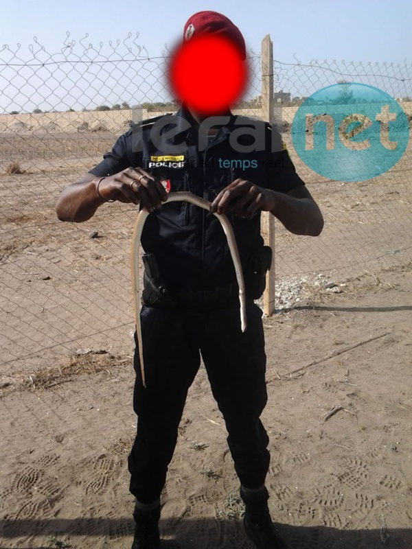 Mort de Bassirou Faye: Tombon Oualy face au Procureur Mort de Bassirou Faye: Tombon Oualy face au Procureur