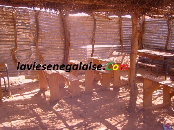 Exclusif-Ndouloumadji Founabé : la jeunesse du village d’origine de Macky Sall très remontée contre leur fils… Exclusif-Ndouloumadji Founabé : la jeunesse du village d’origine de Macky Sall très remontée contre leur fils…