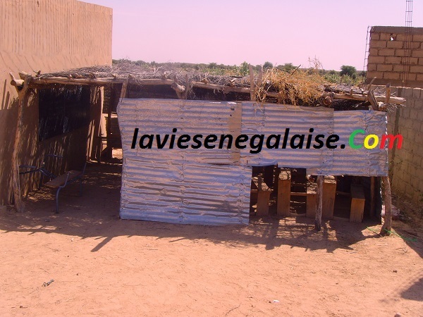 Exclusif-Ndouloumadji Founabé : la jeunesse du village d’origine de Macky Sall très remontée contre leur fils… Exclusif-Ndouloumadji Founabé : la jeunesse du village d’origine de Macky Sall très remontée contre leur fils…
