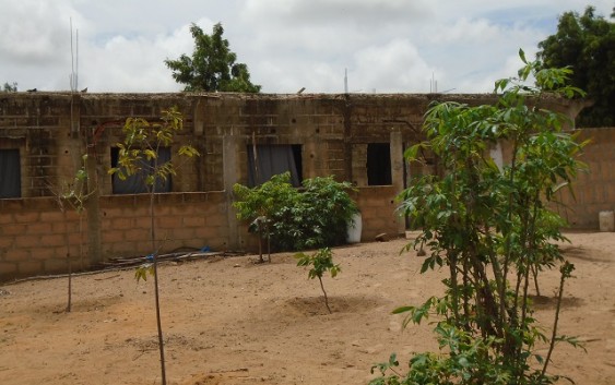 Drame dans un daara à Thiès: 3 talibés poignardés dont un mort et deux blessé graves Drame dans un daara à Thiès: 3 talibés poignardés dont un mort et deux blessé graves