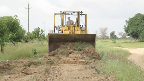 Quand le tamarinier du village de Hanène refuse de céder le passage aux caterpillars Quand le tamarinier du village de Hanène refuse de céder le passage aux caterpillars