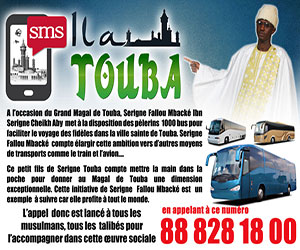 Magal de Touba : Un marabout met 1000 bus à la disposition des pèlerins Magal de Touba : Un marabout met 1000 bus à la disposition des pèlerins