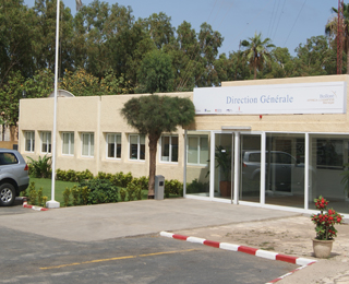 Bolloré africa logistics Sénégal : Bras de fer entre la direction et les travailleurs Bolloré africa logistics Sénégal : Bras de fer entre la direction et les travailleurs