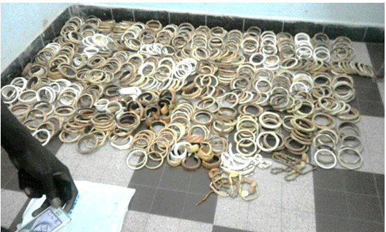 Lutte contre la criminalité faunique : Une saisie de 1081 pièces d’ivoire, de trophées de lion et de carapaces de tortues vertes effectuée à Ziguinchor Lutte contre la criminalité faunique : Une saisie de 1081 pièces d’ivoire, de trophées de lion et de carapaces de tortues vertes effectuée à Ziguinchor