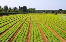 Enquête nationale sur les métiers dans le secteur agricole et rural : Les entreprises priées de collaborer Enquête nationale sur les métiers dans le secteur agricole et rural : Les entreprises priées de collaborer