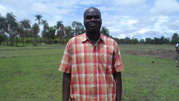 Dr Waly Diouf : « Il suffit juste de doubler la production de 2015 pour atteindre l’autosuffisance en 2016 » Dr Waly Diouf : « Il suffit juste de doubler la production de 2015 pour atteindre l’autosuffisance en 2016 »