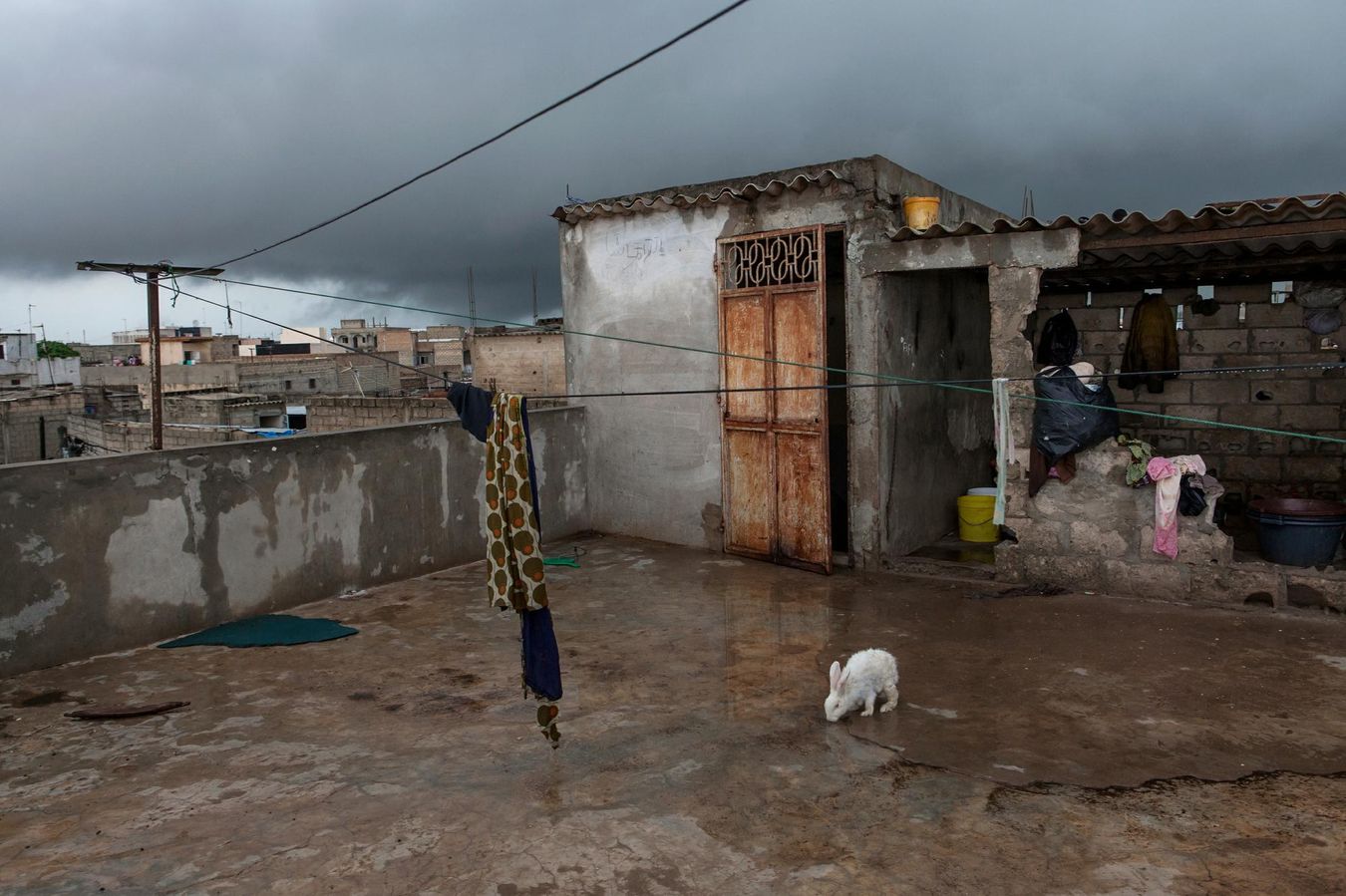 Les experts estiment qu'il faudra encore 5 ou 10 ans au gouvernement sénégalais pour régler les problèmes récurrents, comme les inondations, causés par le changement climatique. En 2013, Flurina Rothenberger, photographe suisse, a remporté un prix au Greenpeace Photo Award.