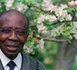 Wade réalise un vœu de Senghor :« Il a rêvé d’un musée d’art africain, je l’ai réalisé »