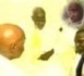 Me Wade avec Serigne Saliou, à la veille de la Présidentielle de 2007