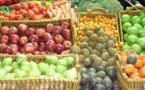 Forum sur l’agribusiness : Les mises en garde des activistes Sénégalais