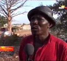 Journal de la culture du mercredi 22 mai 2013 (Walf-Tv)