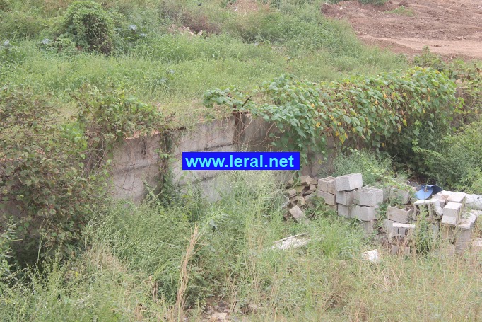 foncier e5f19e3d-c83d-47e3-97f1-28e39ada1ac3