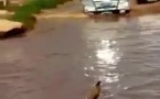 A cause du Ter les Habitants de Diamageune Sicap Mbao vivent la galère