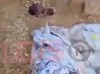 Vidéo choquante: Au lieu de sauver le bébé abandonné, ils le filment