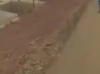 VIDEO - Passerelle sans rampe à Zac Mbao: Un danger pour les piétons 