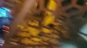 WhatsApp Video 2022-01-21 at 02.15.35.mp4