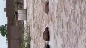 Canal Cité Tobago.mp4 2.mp4