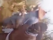 WhatsApp Video 2025-11-26 at 00.28.24.mp4