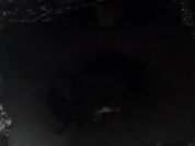 889B3EAE-850D-4DB9-B728-BAD456A8B9AB.mov